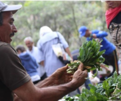 Venezuela. Plan Pueblo a Pueblo: Un modelo de producción agroalimentario comunal y soberano