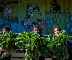 Soberanía Alimentaria, un camino imprescindible frente a la crisis alimentaria y climática. Por La Via Campesina.