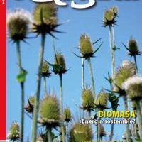 Biocombustibles y uso energético de la biomasa: un análisis crítico.