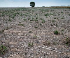 La Mesa Agroalimentaria exige políticas concretas para paliar la sequía y seguir produciendo. Por Nahuel Lag.