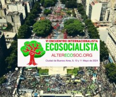Ecosocialismo y transición ecosocial: la lucha es una sola, y es ahora. Por Vanessa Dourado.