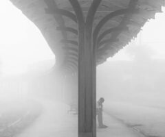 En busca del «eslabón perdido». Por Germán Sánchez Otero