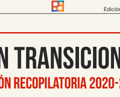 Boletín Transiciones – Edición Recopilatoria 2020-2024